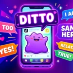 ditto meaning slang