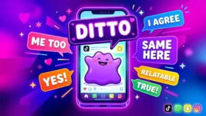 ditto meaning slang