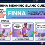 finna meaning slang