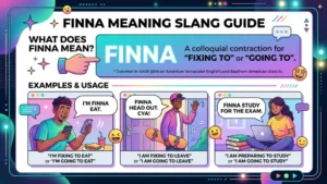 finna meaning slang