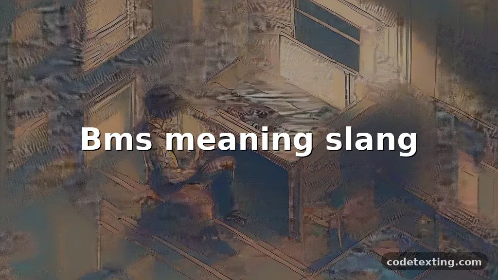 bms meaning slang