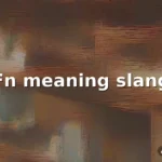 fn meaning slang