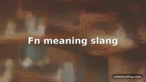 fn meaning slang