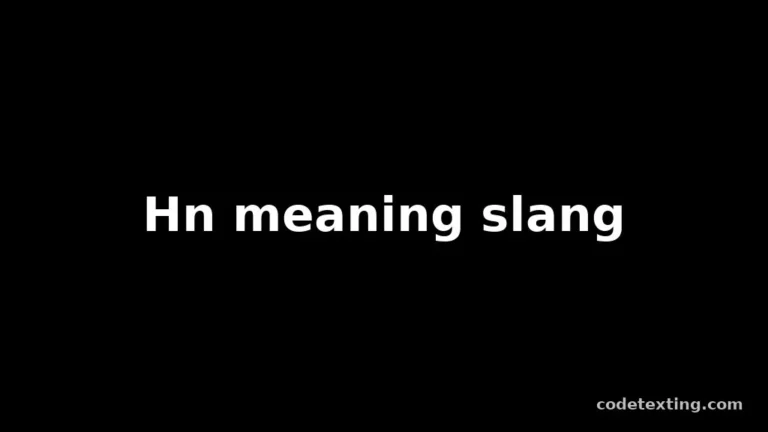 hn meaning slang