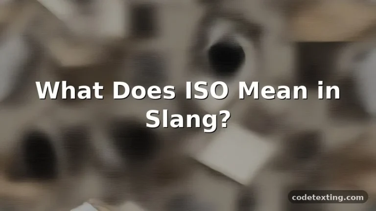 iso meaning slang