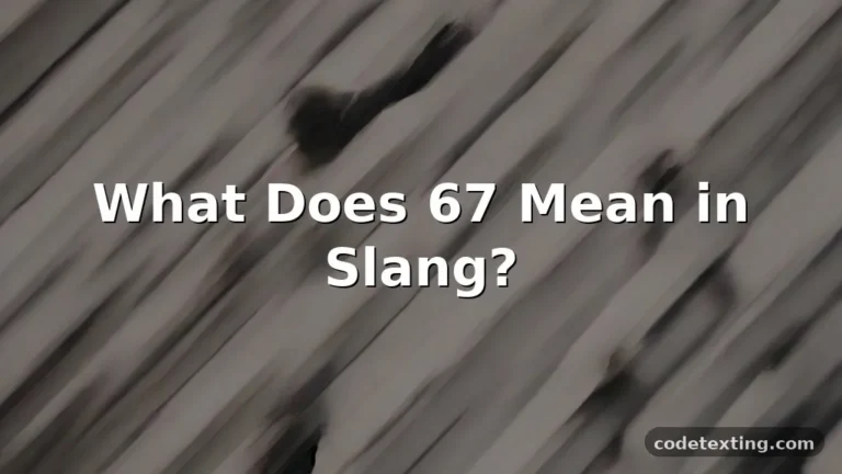 meaning of 6 7 slang