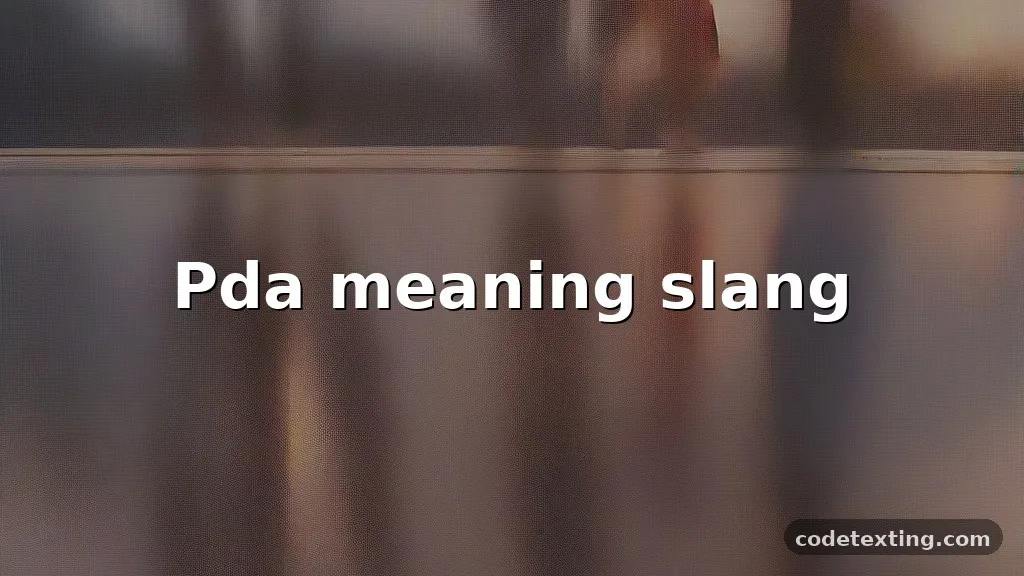pda meaning slang