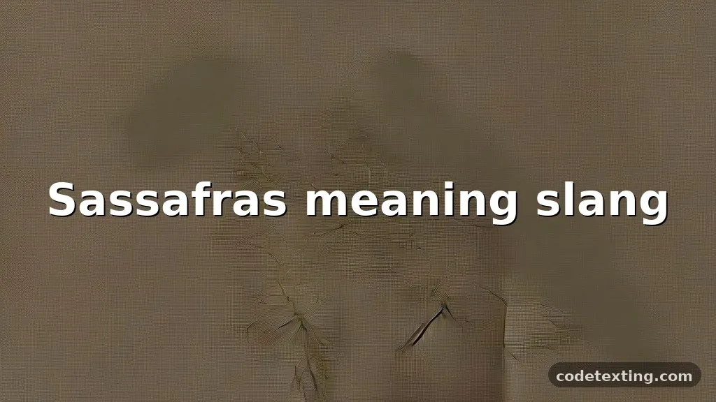 sassafras meaning slang