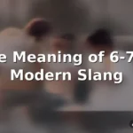 slang 6 7 meaning