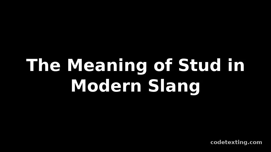 stud meaning slang