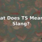 ts meaning slang