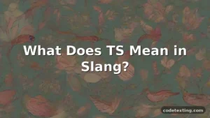 ts meaning slang