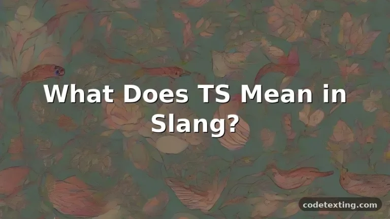 ts meaning slang