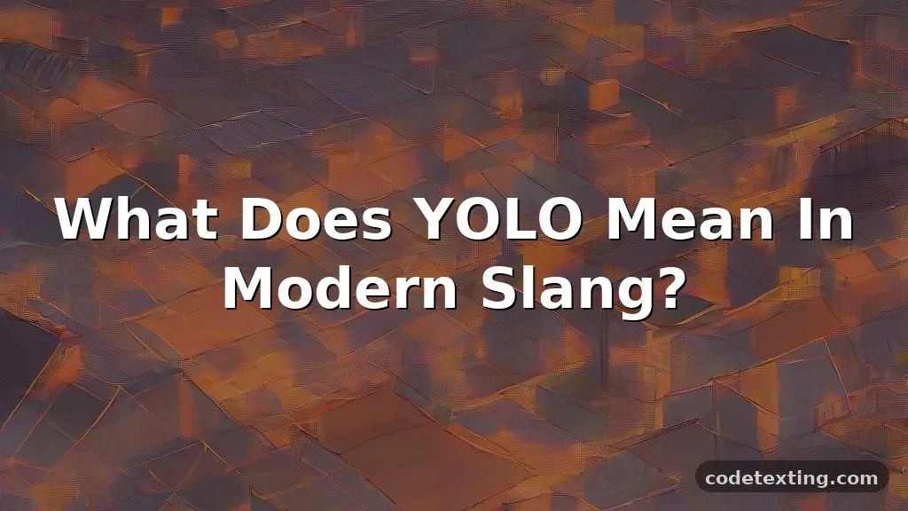 yolo meaning slang