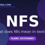 Nfs meaning in texting slang - what does Nfs mean