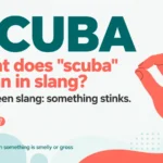 scuba meaning in texting slang infographic